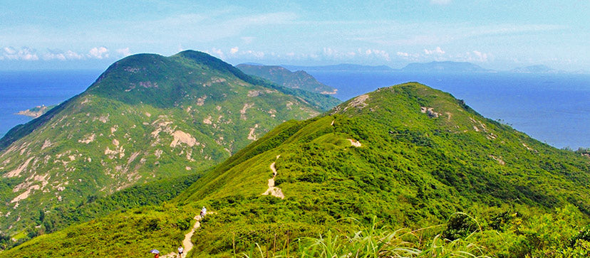 Hike The Dragon's Back - Hong Kong